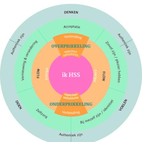 Hoogsenstieve HSS-kompas uit het boek Prikkels bijten niet!