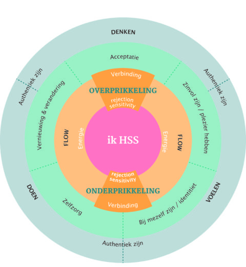 Hoogsenstieve HSS-kompas uit het boek Prikkels bijten niet!